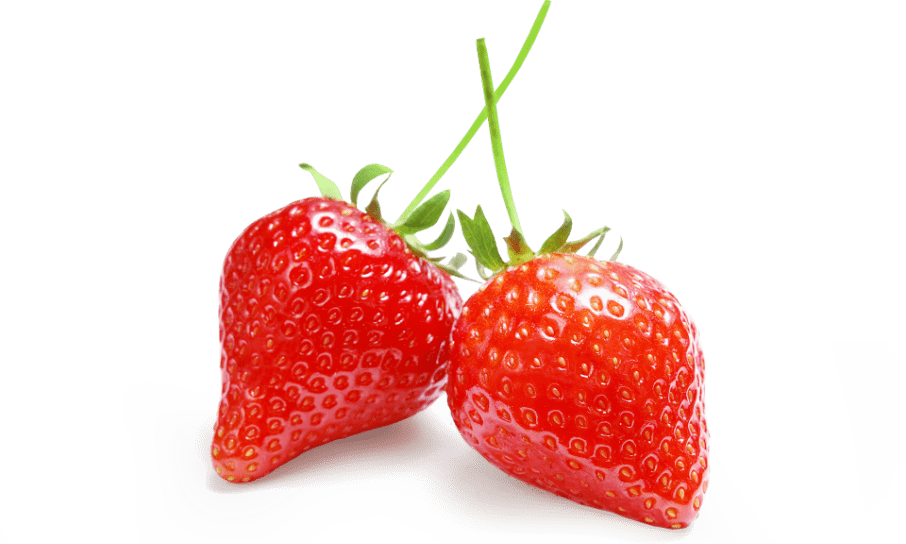 TOBACCO HOUSE - Всё для вашего кальяна